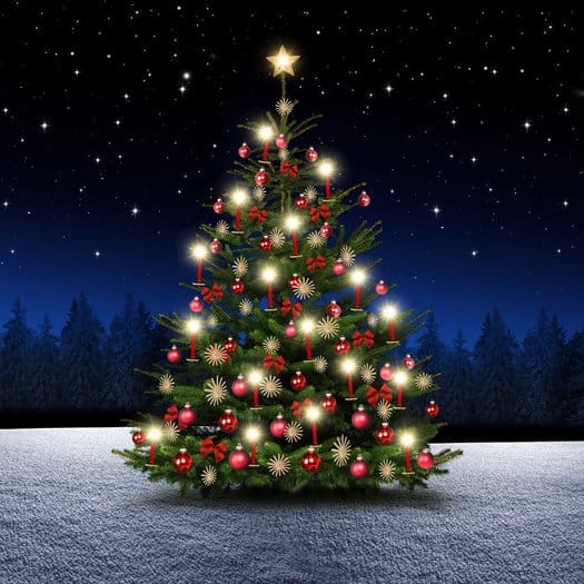8. Dezember: Der Weihnachtsbaum